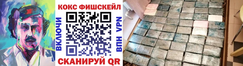 Купить закладки  Нюрба  КОКАИН FishScale 